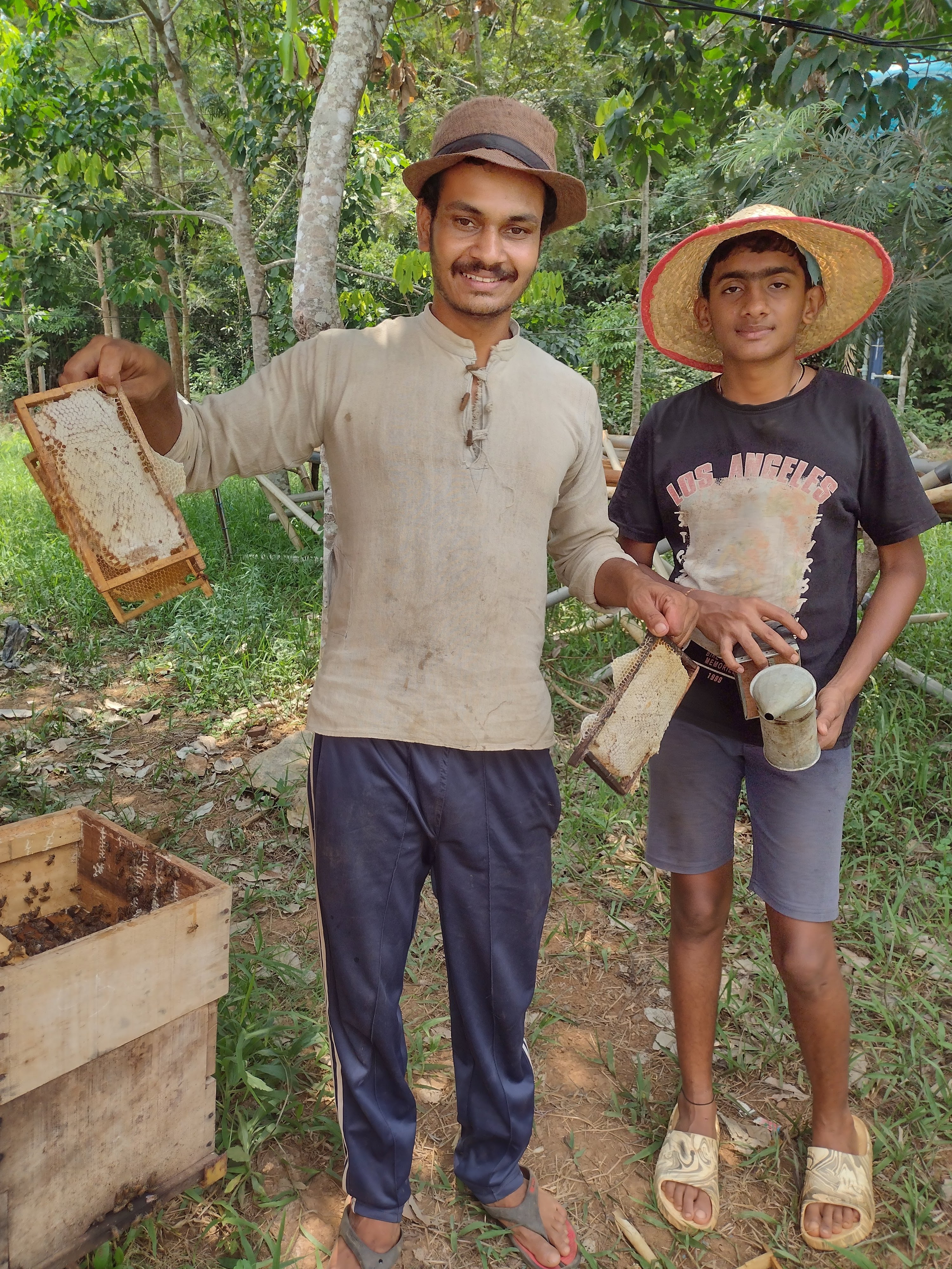 Honey harvest